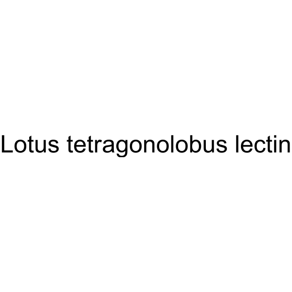 Lotus tetragonolobus lectin
